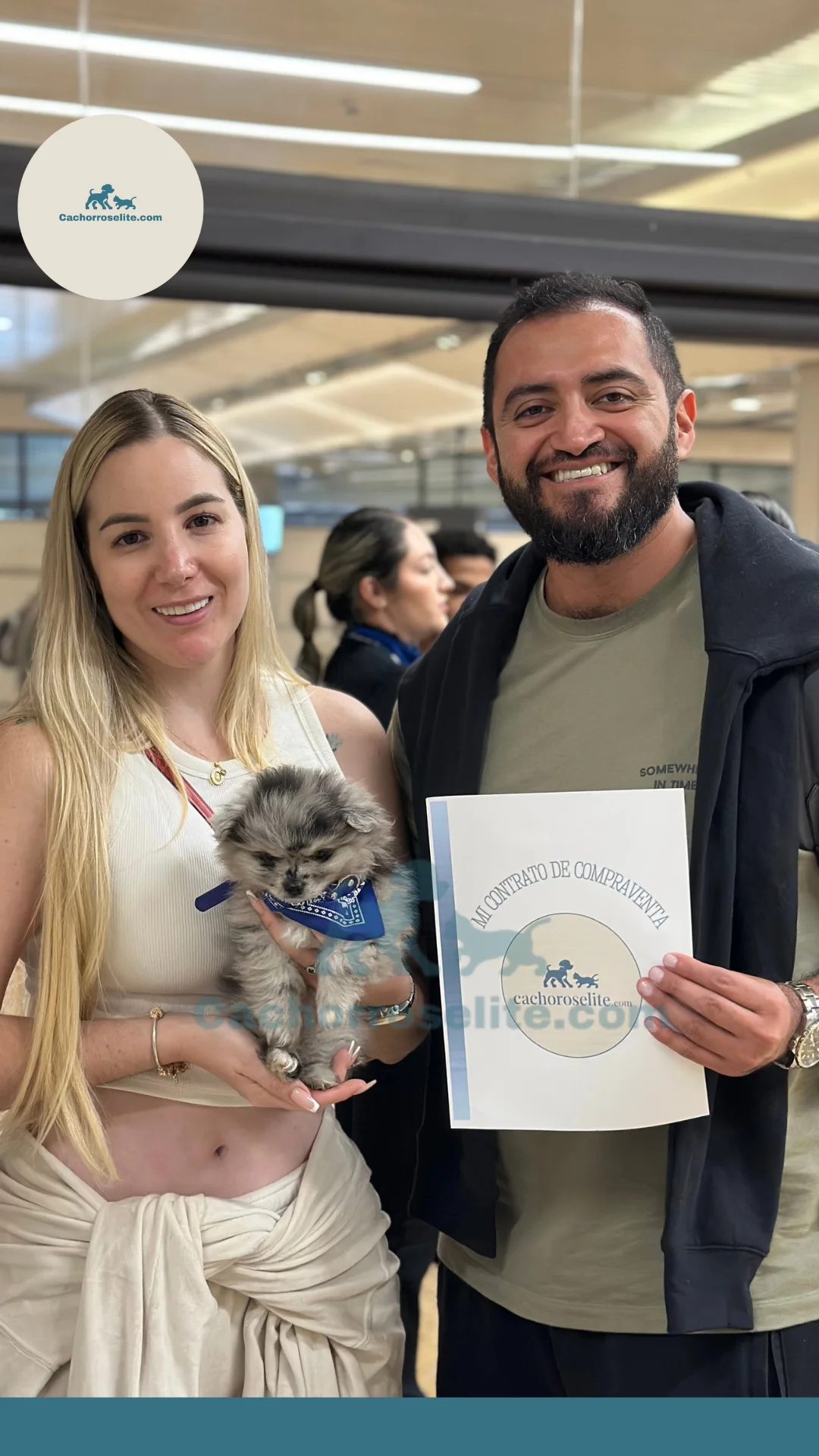 persona feliz con cachorro pomerania merle mini Clientes felices cachorroselite