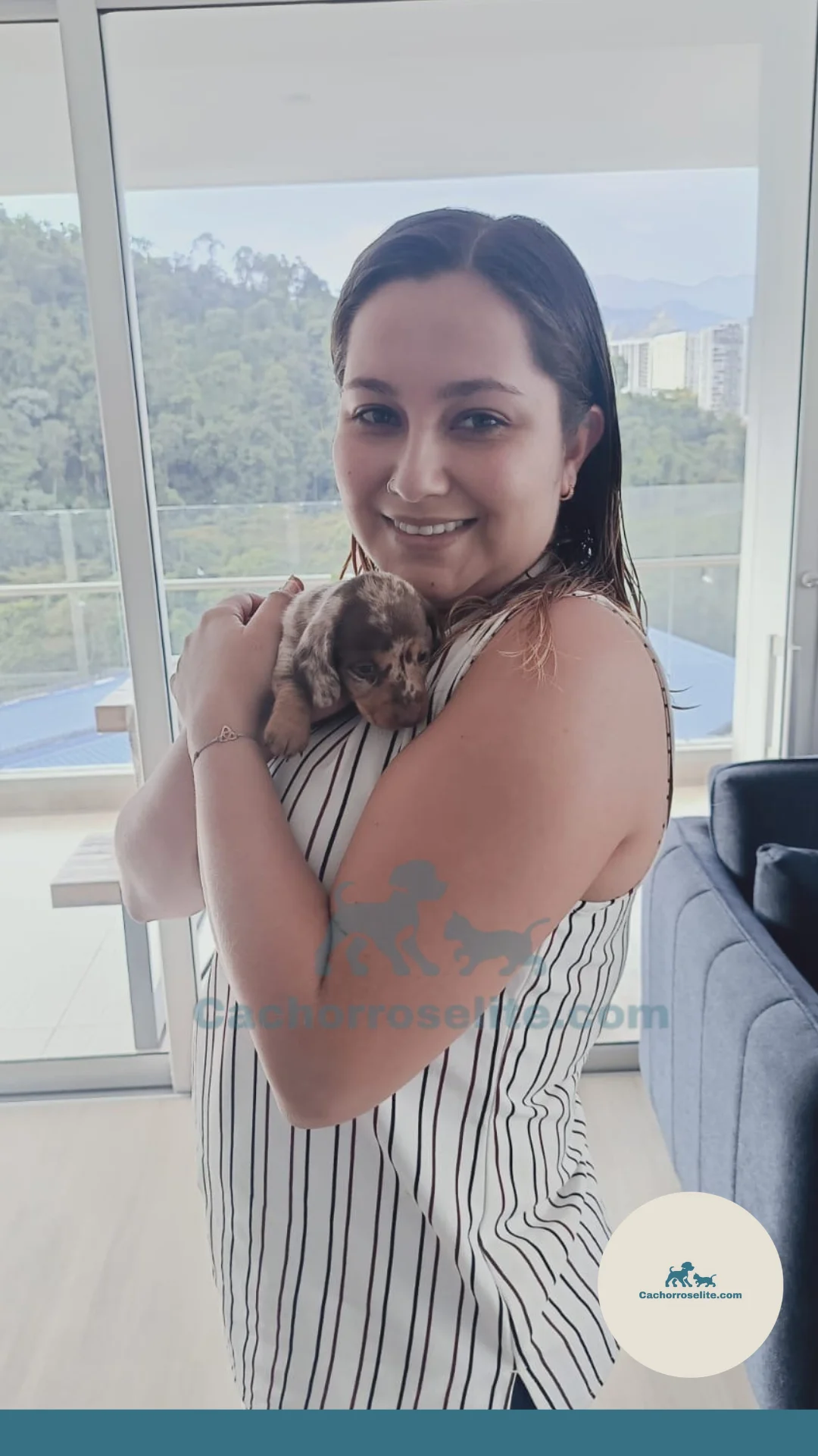 persona feliz con cachorro teckel mini perro salchicha Clientes felices cachorroselite