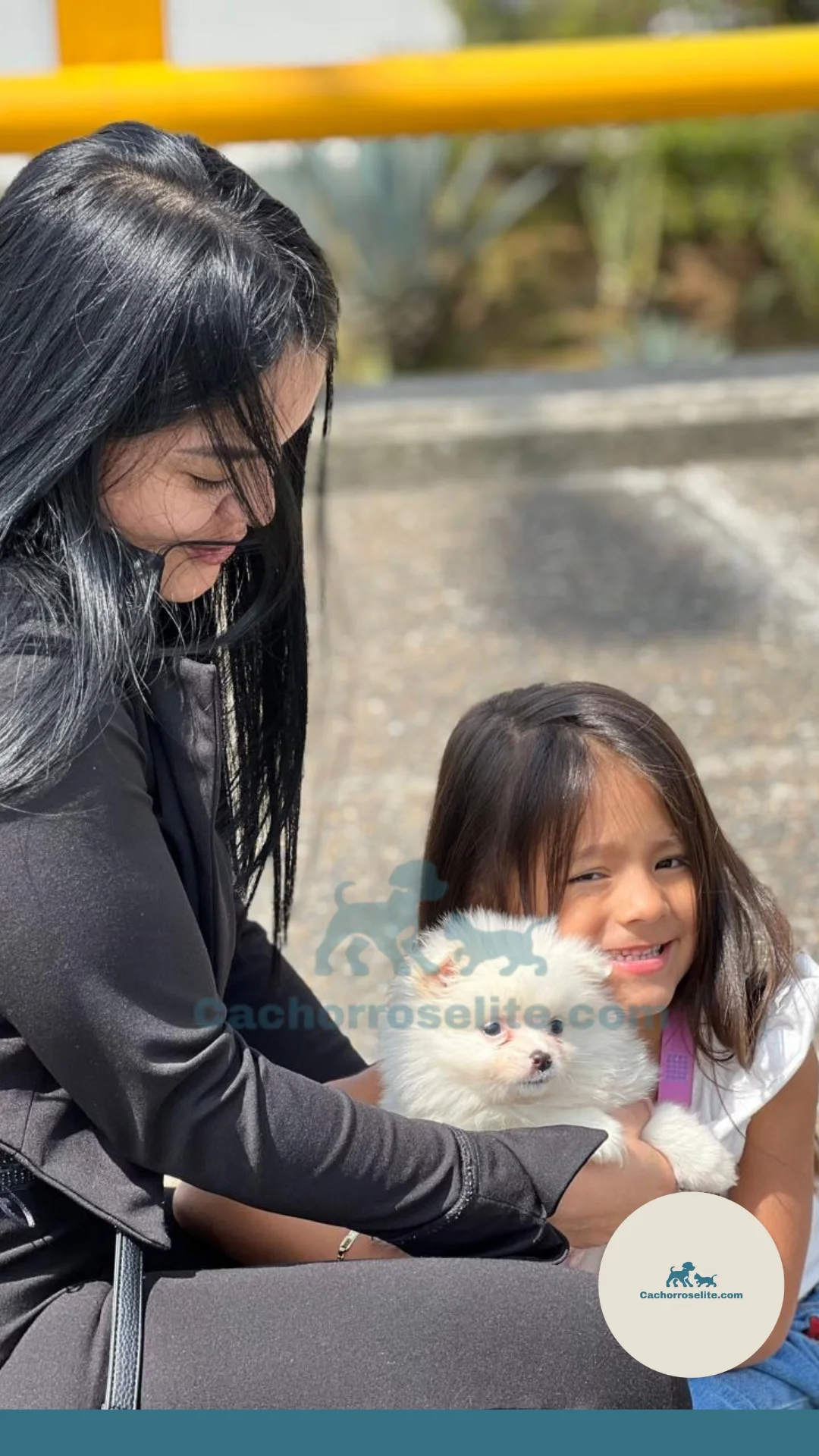 persona feliz con cachorro pomerania mini blanca Clientes felices cachorroselite