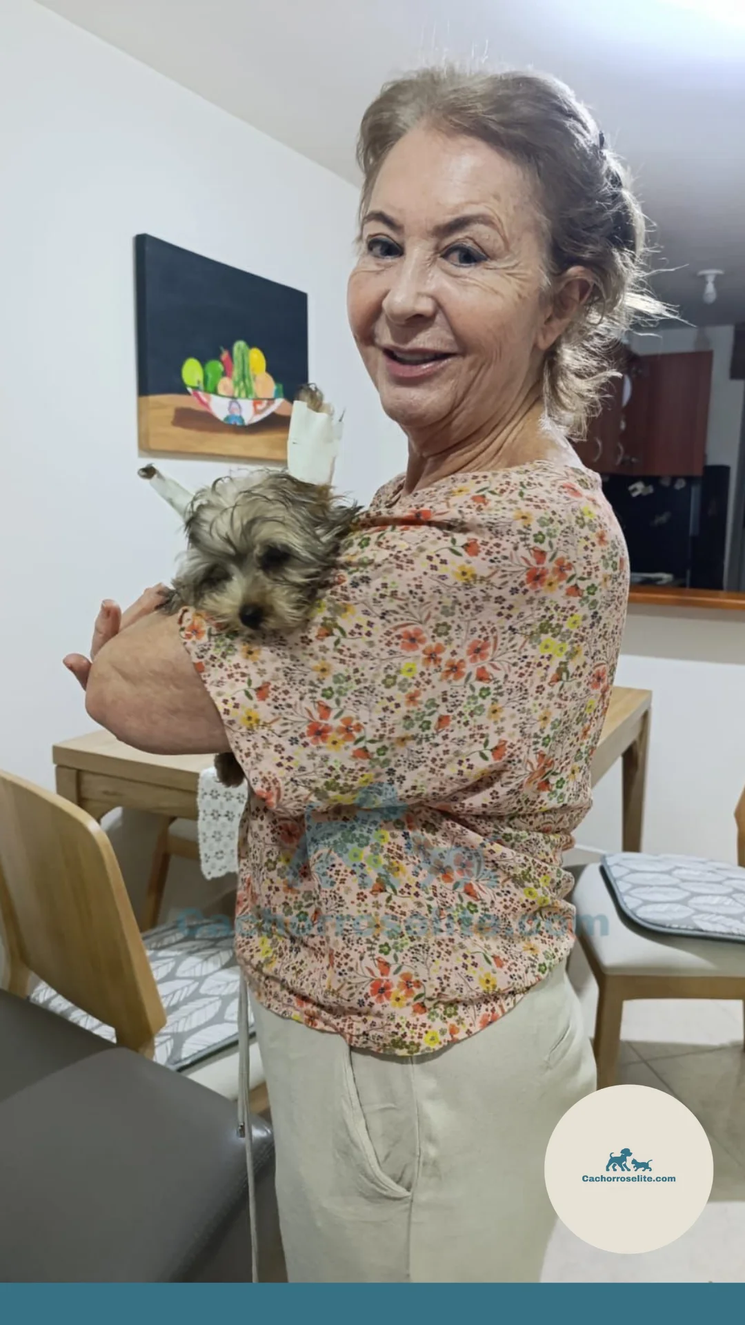 persona feliz con cachorro yorkshire terrier mini Clientes felices cachorroselite