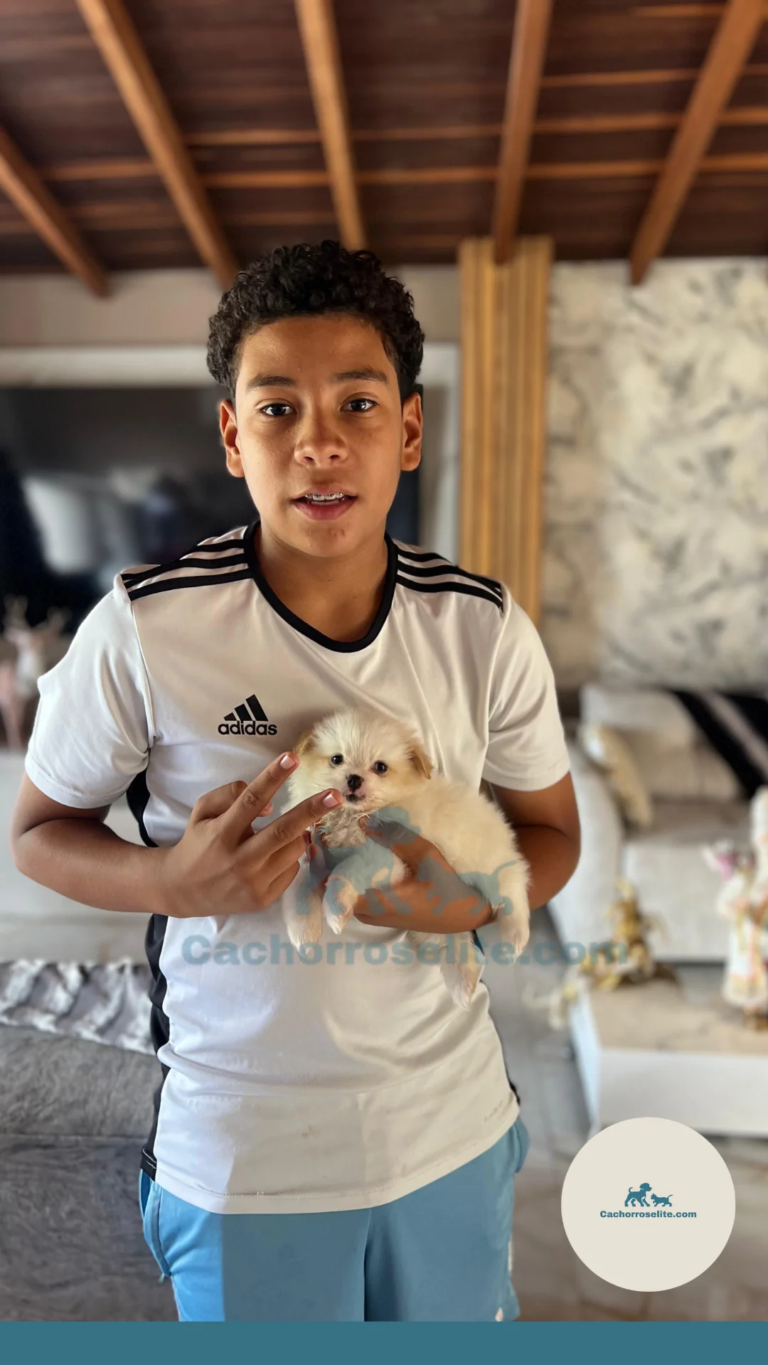 persona feliz con cachorro pomerania mini blanca Clientes felices cachorroselite