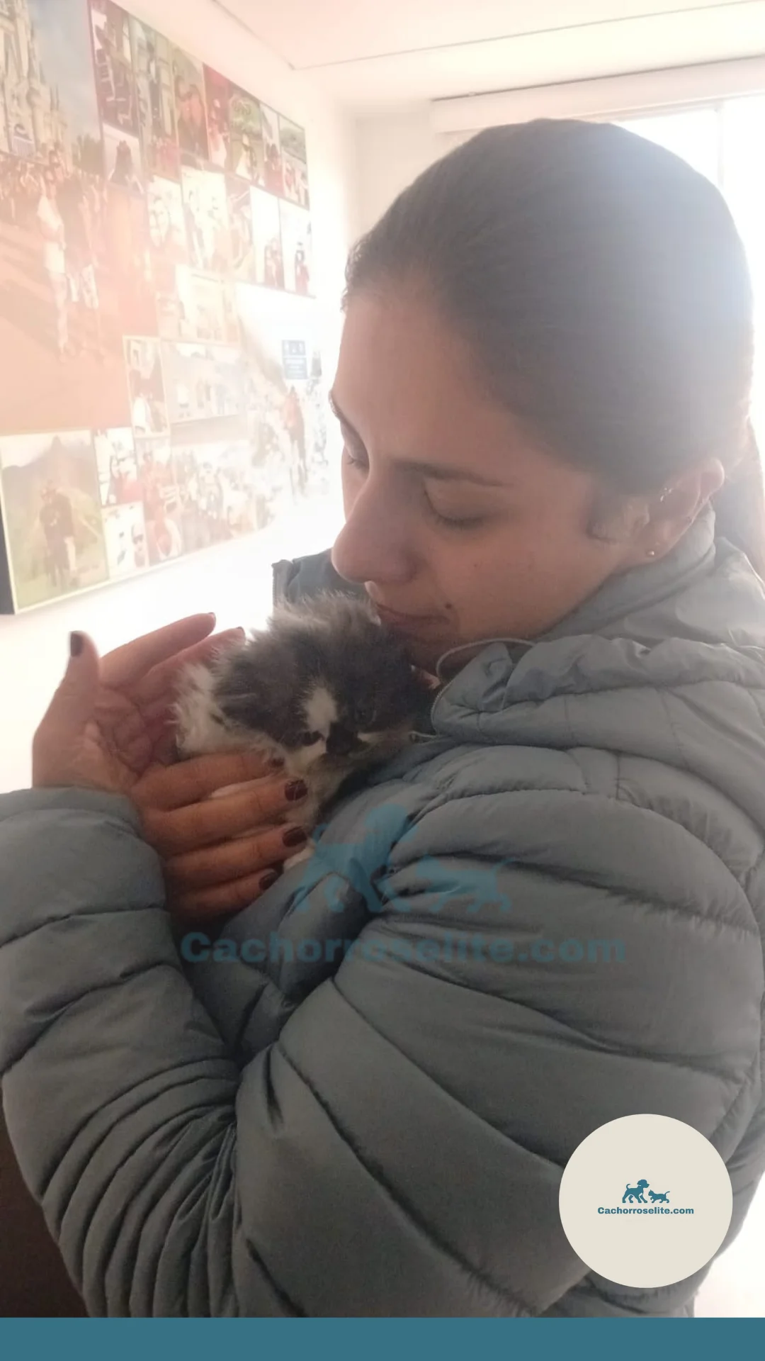 persona feliz con cachorro gato persa Clientes felices cachorroselite
