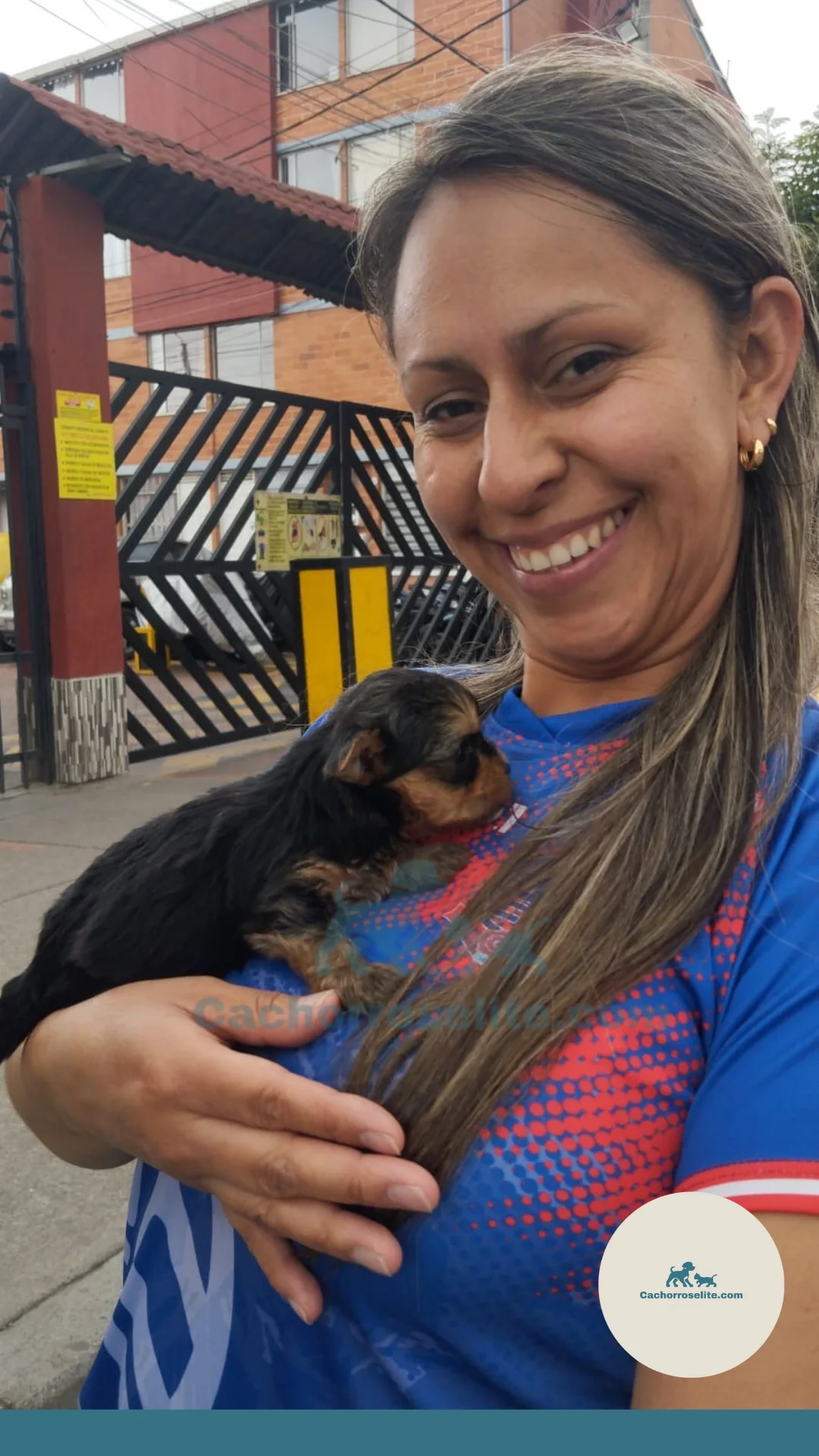 persona feliz con cachorro yorkshire terrier mini Clientes felices cachorroselite